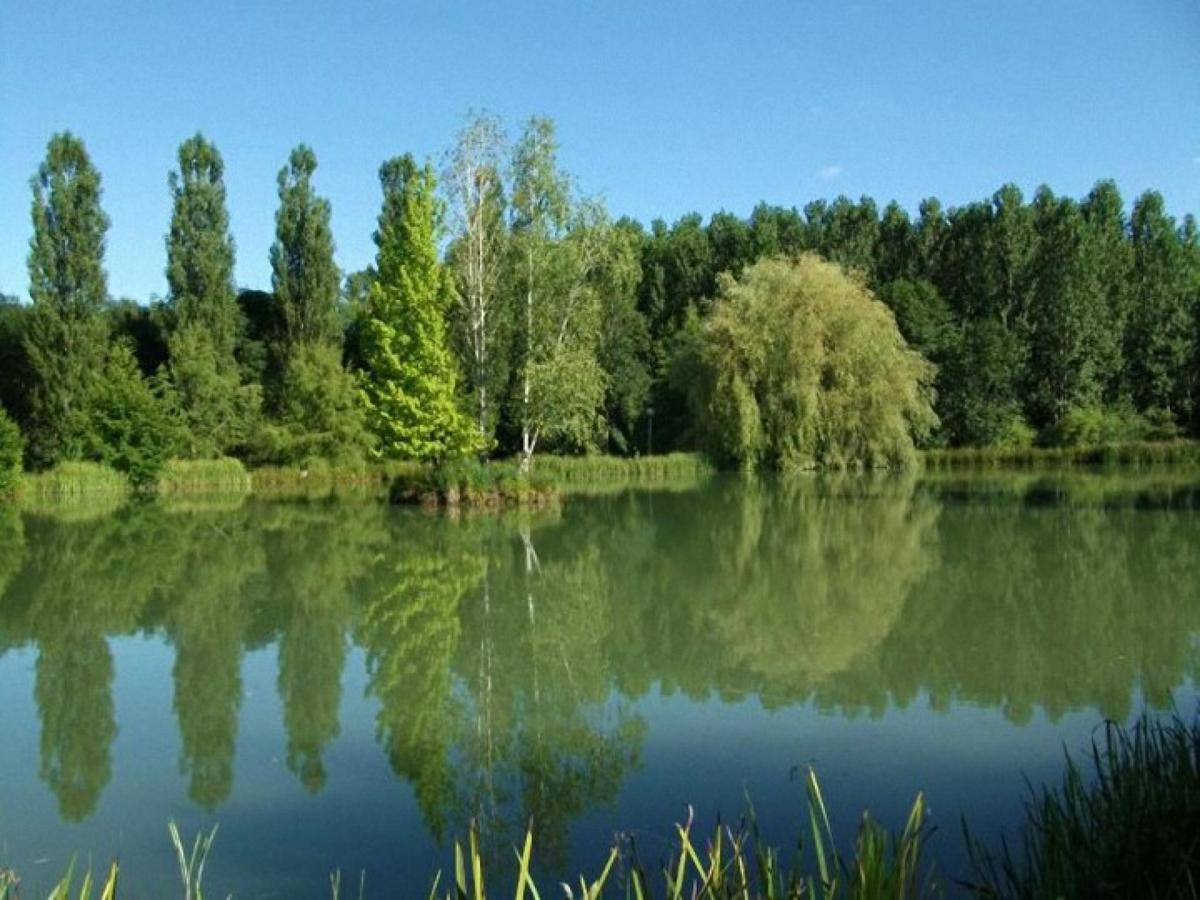 Le Domaine De L'Etang De Sandanet Issac Kültér fotó