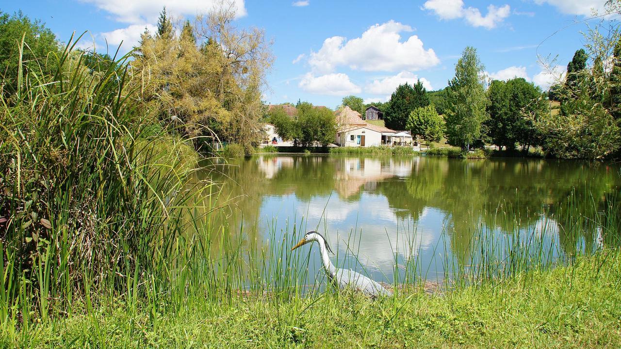 Le Domaine De L'Etang De Sandanet Issac Kültér fotó