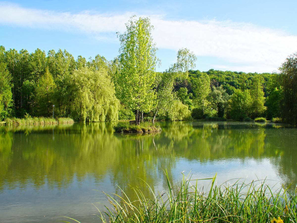 Le Domaine De L'Etang De Sandanet Issac Kültér fotó